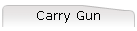Carry Gun